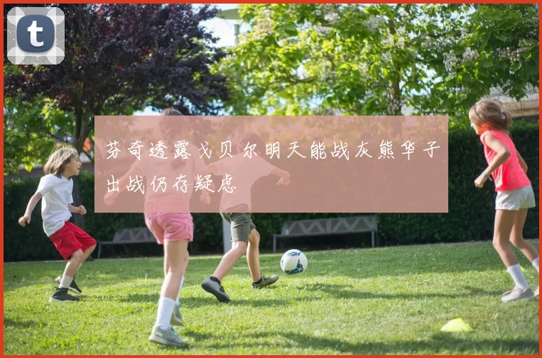 芬奇透露戈贝尔明天能战灰熊华子出战仍存疑虑