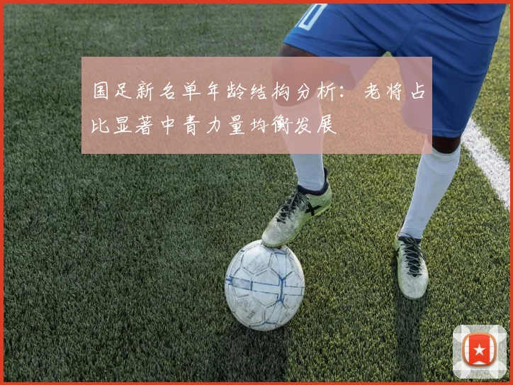 国足新名单年龄结构分析：老将占比显著中青力量均衡发展