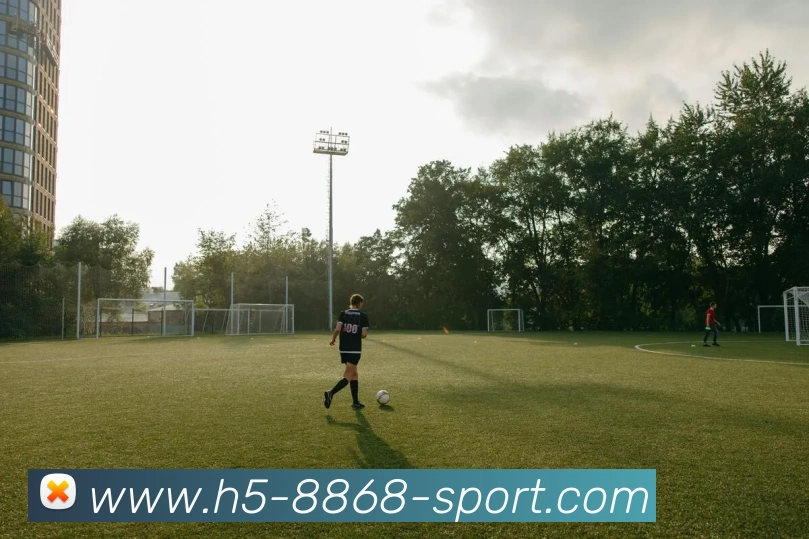 App Interface Preview